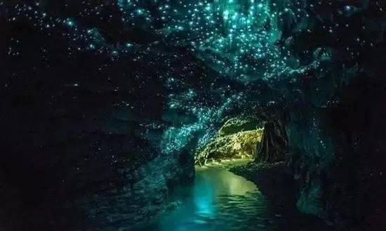 逃离白鸽之森