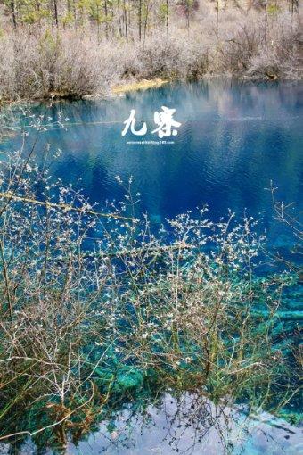 救援跳绳女孩