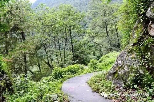 人间水蜜桃程潇，长腿嫩足吸睛无数，内外兼修展现“发育过猛”的魅力风采