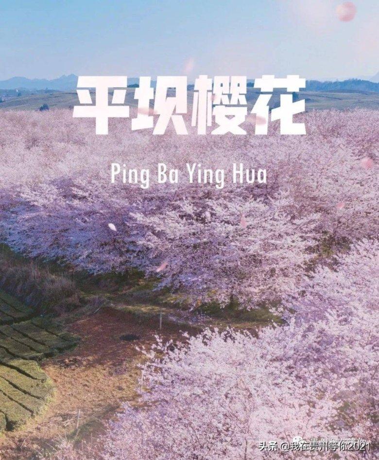 城固:奋力建设农业强县 绘就乡村振兴新画卷
