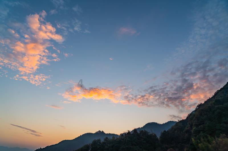 奥日与黑暗森林