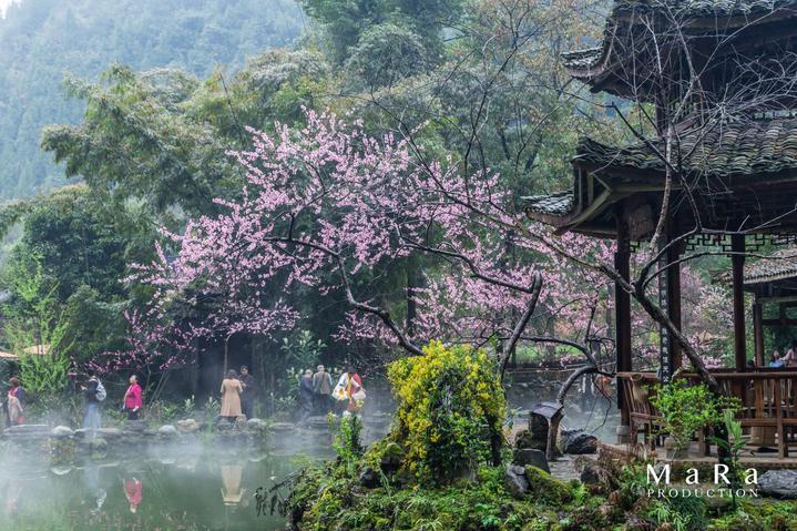 飞仙诀