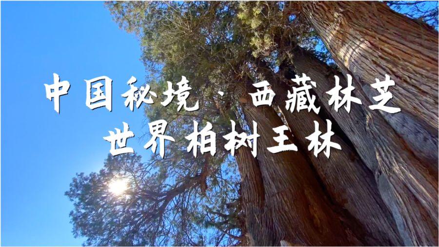 合金装备5原爆点