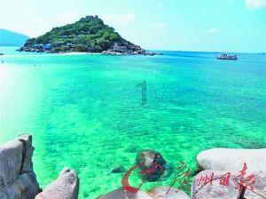 长期吃护肝片就能护肝?提醒:这4个才是核心成分!早知早受益