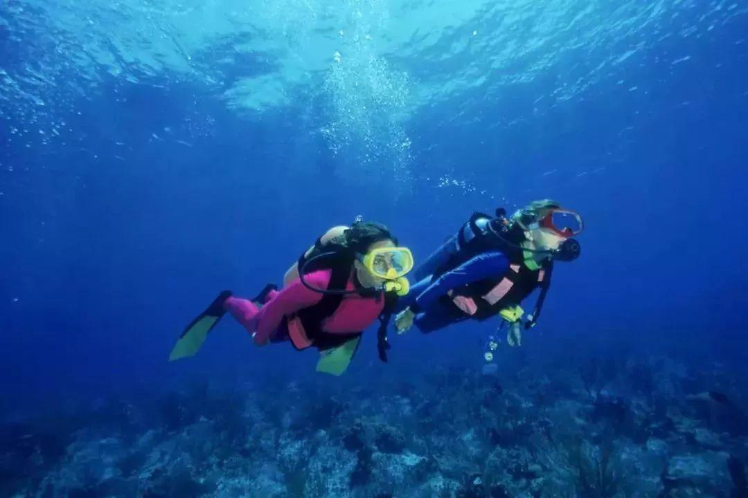 校校语文和数学平均分是93数学是95语文是多少分？