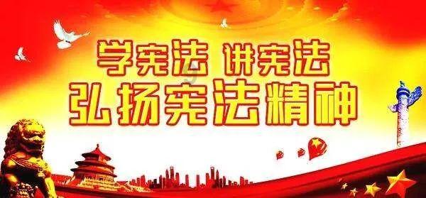森林的奇迹