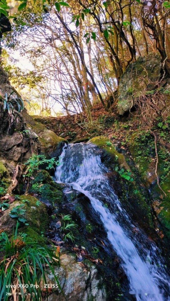 西红柿定植后几天打锌肥好？游戏画面