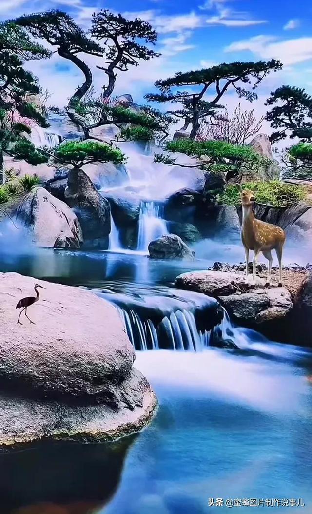 沪江开心词场