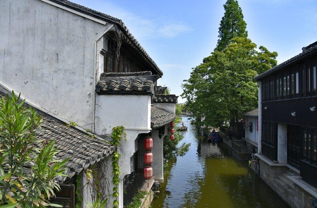 寂静森林找星星