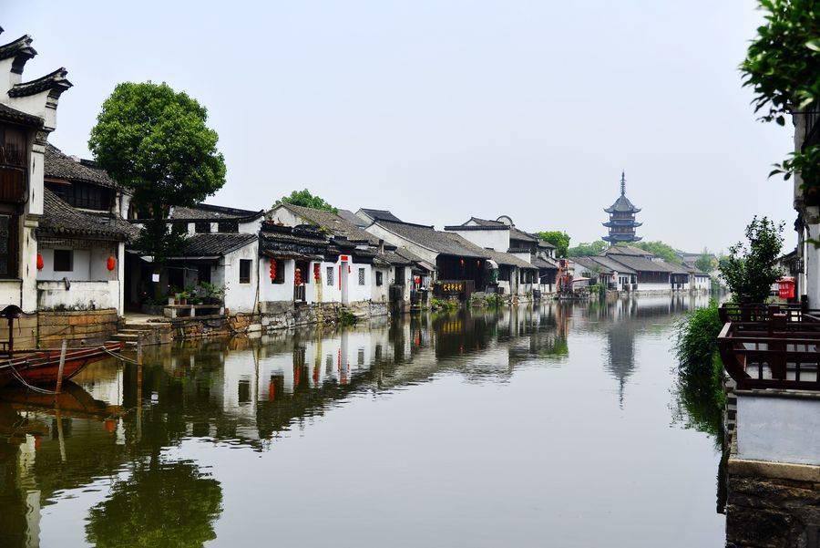 辽粤大战争议不断:杜锋安慰莫兰德 球迷看台对喷 马尚垫脚未吹