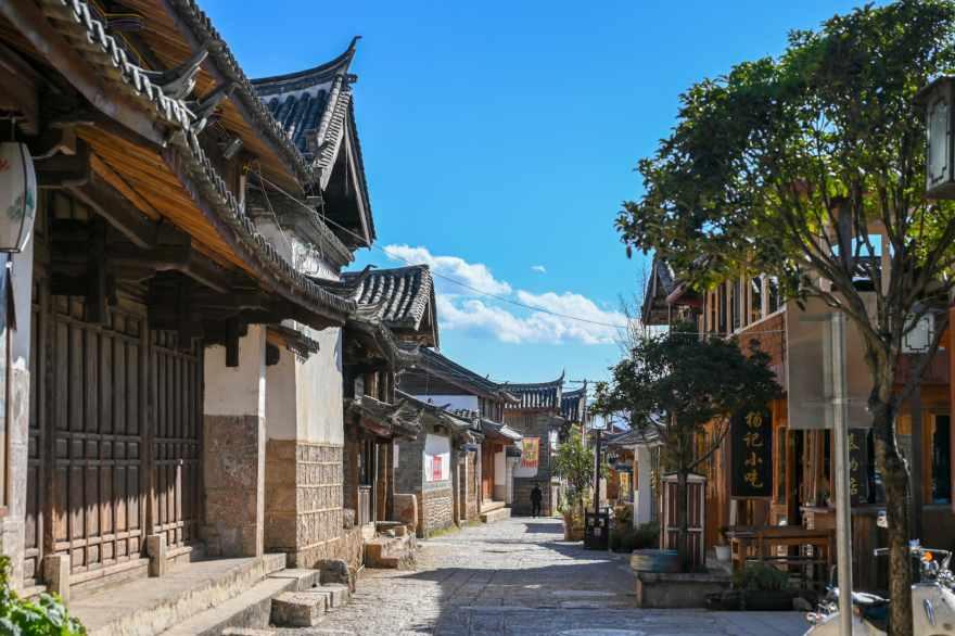 细胞分裂4