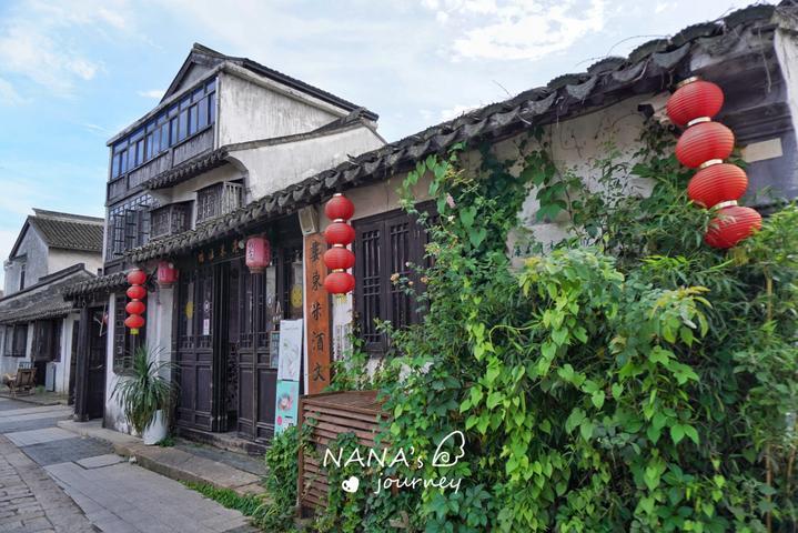 小猫钓鱼正版下载中文版