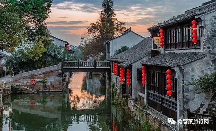 大金狮逃生